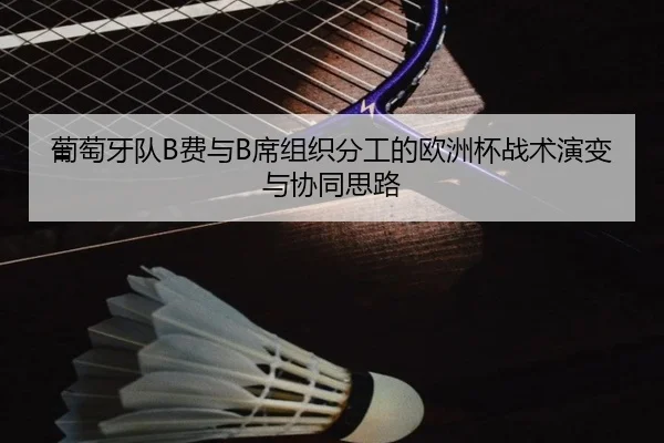 葡萄牙队B费与B席组织分工的欧洲杯战术演变与协同思路